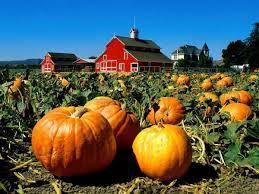October 30th Fall LEAP Field Trip: K - 3rd