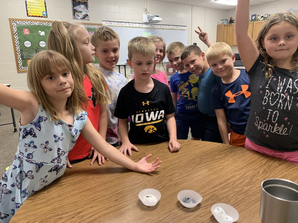 Learning about pollination!